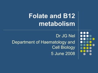 Folate and B12
metabolism
Dr JG Nel
Department of Haematology and
Cell Biology
5 June 2008
 
