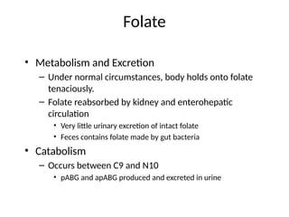 Comprehensive Overview of Folic Acid Metabolism and Its Biological ...