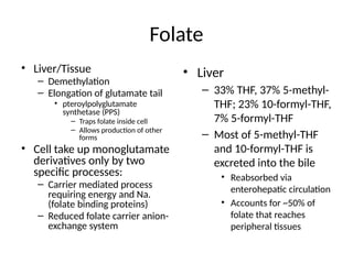 Comprehensive Overview of Folic Acid Metabolism and Its Biological ...