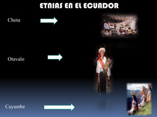 ETNIAS EN EL ECUADORChotaOtavaloCayambe