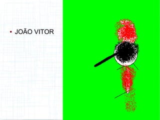 ● JOÃO VITOR