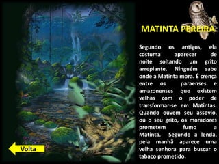 MATINTA PEREIRA
Segundo os antigos, ela
costuma aparecer de
noite soltando um grito
arrepiante. Ninguém sabe
onde a Matinta mora. É crença
entre os paraenses e
amazonenses que existem
velhas com o poder de
transformar-se em Matintas.
Quando ouvem seu assovio,
ou o seu grito, os moradores
prometem fumo a
Matinta. Segundo a lenda,
pela manhã aparece uma
velha senhora para buscar o
tabaco prometido.
Volta
 