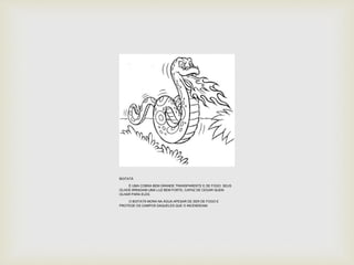 BOITATÁ 
É UMA COBRA BEM GRANDE TRANSPARENTE E DE FOGO. SEUS 
OLHOS IRRADIAM UMA LUZ BEM FORTE, CAPAZ DE CEGAR QUEM 
OLHAR PARA ELES. 
O BOITATÁ MORA NA ÁGUA APESAR DE SER DE FOGO E 
PROTEGE OS CAMPOS DAQUELES QUE O INCENDEIAM. 
 