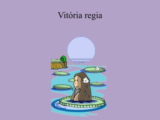 Vitória regia
 