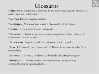Glossário
•Crina: Pêlos compridos e flexíveis, do pescoço e da cauda do cavalo e de
outros animais.Redemoinho
•Córrego: Ribeiro pequeno; riacho.
•Carapuça:. . Nome comum a vários objetos de forma cônica.
•Desatar: Desfazer, tirar o nó ou laço de.
•Pastorear: 1. Guiar ao pasto. 2. Guardar o gado no pasto; pastorar. 3.
Governar eclesiasticamente.
•Estancieiro: Proprietário de fazenda para criação de gado.
•Baio: 1. Da cor do ouro desmaiado. 2. Diz-se do cavalo castanho. S. m.
Cavalo baio.
•Estância: 1. Morada, residência. 2. Fazenda para criação de gado.
•Tropilha.: 1. Lote de cavalos que têm o mesmo pelame e que
acompanham uma égua madrinha. .
 