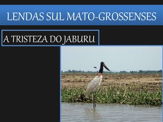 LENDAS SUL MATO-GROSSENSES
A TRISTEZA DO JABURU
 