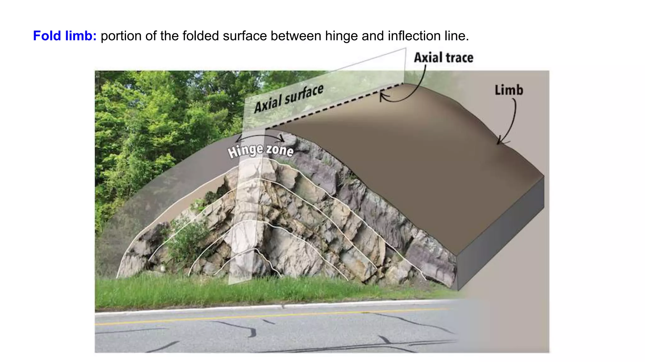Fold limb: portion of the folded surface between hinge and inflection line.
 