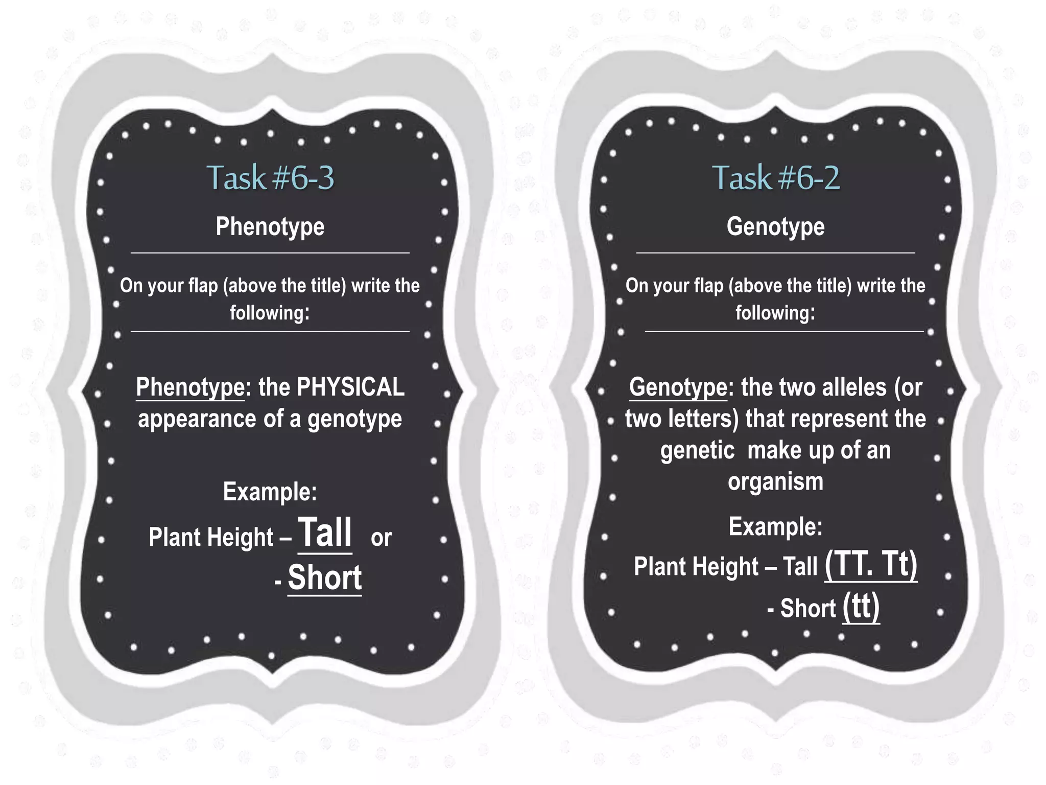 Genetics Foldable | PPTX