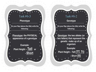 Genetics Foldable | PPT