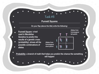 Genetics Foldable | PPTX