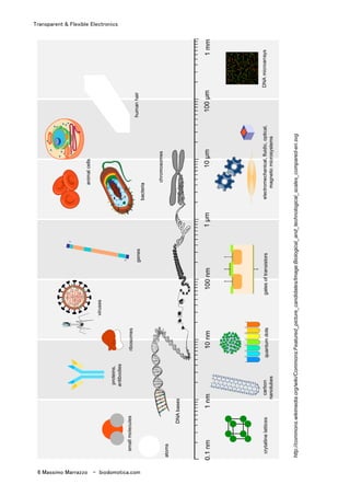 Transparent & Flexible Electronics
6 Massimo Marrazzo - biodomotica.com
http://commons.wikimedia.org/wiki/Commons:Featured_picture_candidates/Image:Biological_and_technological_scales_compared-en.svg
 