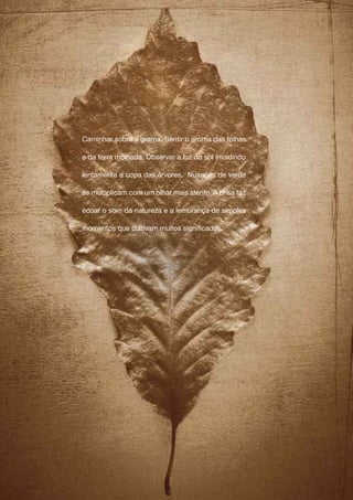 Caminhar sobre a grama. Sentir o aroma das folhas

e da terra molhada. Observar a luz do sol invadindo

lentamente a copa das árvores. Nuances de verde

se multiplicam com um olhar mais atento. A brisa faz

ecoar o som da natureza e a lembrança de simples

momentos que cultivam muitos significados.
 