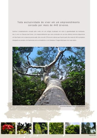 To d a e x c l u s i v i d a d e d e v i v e r e m u m e m p r e e n d i m e n t o
                     cercado por mais de 440 árvores.

Sentir-se completamente cercado pelo verde em um refúgio localizado em meio à grandiosidade da metrópole.

Isto é viver no Chácara Sant´Anna. Um empreendimento que será construído em um dos últimos terrenos disponíveis

em São Paulo com a natureza preservada. São cerca de 279 árvores nativas que fazem parte dos mais de 440 exemplares

integrados ao projeto, em harmonia com os moradores e com Santana. O lugar ideal para viver suas raízes.




                                                                             Foto da Flora Preservada no Terreno do Empreendimento




                                                                                                                                     Fotos do Local
 