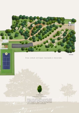 04

                            06                                                                   02
                                         03

               08   07

                                                                                                      01


                                                                                                      05

11                                                                                 05            04

                                                                             05                 08
     10




          09
                                                                                                           Implantação



                         Área comum entregue equipada e decorada.




                                                  O CIPRESTE
                                        Espécie presente no empreendimento.

                          Cipreste é o termo genérico aplicado a uma grande variedade
                          de espécies de árvores coníferas da família das Cupressaceae,
                          ou família dos ciprestes, muito utilizadas como árvores ornamentais
                          e para a produção de madeira. A maior parte destas plantas
                          pertence aos gêneros Cupressus e Chamaecyparis.
 