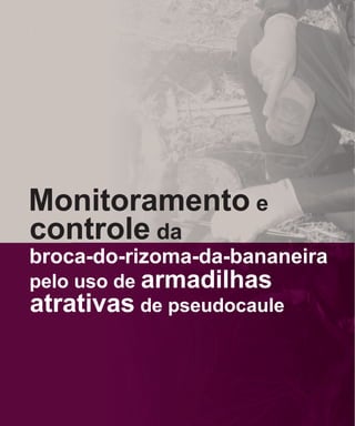 Monitoramento e
controle da
broca-do-rizoma-da-bananeira
pelo uso de armadilhas
atrativas de pseudocaule
 