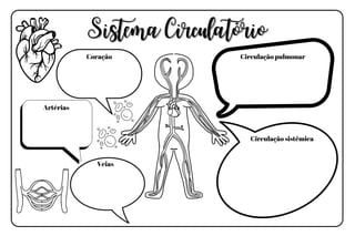 Sistema Circulatório
Sistema Circulatório
Circulação pulmonar
Circulação sistêmica
Coração
Artérias
Veias
 