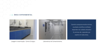 Lavagem e esterilização - Centro Cirúrgico Laboratórios de Comportamento
Quando a pesquisa envolve animais,
resultados científicos confiáveis
dependem de cuidados elevados!
Os animais são separados por
espécie em todas áreas.
 
