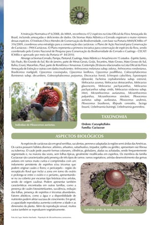 A Instrução Normativa nº 6/2008, do MMA, reconheceu 472 espécies na Lista Oficial da Flora Ameaçada do
                  Brasil, incluindo ameaçadas e deficientes de dados. Os biomas Mata Atlântica e Cerrado registram o maior número
                  dessas espécies. O Instituto Chico Mendes de Conservação da Biodiversidade, com base na Portaria MMA/ICMBio nº
                  316/2009, coordenou uma estratégia para a conservação das cactáceas: o Plano de Ação Nacional para Conservação
                  de Cactáceas – PAN Cactáceas. O Plano representa a primeira iniciativa para conservação de espécies da flora, sendo
                  coordenado pelo Centro Nacional de Pesquisa para Conservação da Biodiversidade do Cerrado e Caatinga - CECAT/
                  ICMBio e aprovado por meio da Portaria nº 84/2010.
                  	         Abrange os biomas Cerrado, Pampa, Pantanal, Caatinga, Mata Atlântica e Amazônia em 15 estados - Espírito Santo,
                  São Paulo, Rio Grande do Sul, Rio de Janeiro, parte de Minas Gerais, Goiás, Tocantins, Mato Grosso, Mato Grosso do Sul,
                  Bahia, Ceará, Maranhão, Piauí, parte de Rondônia e Amazonas. Contempla 28 táxons relacionados na Lista Oficial da Flora
                  Ameaçada de Extinção e outras com dados insuficientes: Arthrocereus melanurus subsp. odorus, Arthrocereus rondonianus,
                  Brasilicereus markgrafii, Cipocereus crassisepalus, Cipocereus laniflorus, Cipocereus pusilliflorus, Coleocephalocereus
                  fluminensis subsp. decumbens, Coleocephalocereus purpureus, Discocactus horstii, Echinopsis calochlora, Espostoopsis
                                                                                dybowskii, Facheiroa cephaliomelana subsp. estevesii,
                                                                                Melocactus azureus, Melocactus deinacanthus, Melocactus
                                                                                glaucescens, Melocactus pachyacanthus, Melocactus
Evandro Marsola




                                                                                pachyacanthus subsp. viridis, Melocactus violaceus subsp.
                                                                                ritteri, Micranthocereus auriazureus, Micranthocereus
                                                                                polyanthus, Micranthocereus streckeri, Pilosocereus
                                                                                aurisetus subsp. aurilanatus, Pilosocereus azulensis,
                                                                                Pilosocereus brasiliensis, Rhipsalis cereoides, Tacinga
                                                                                braunii, Uebelmannia buiningii, Uebelmannia gummifera.


                                                                                                           TAXONOMIA
                      Indivíduo de Pilosocereus aurisetus.                                   Ordem: Caryophyllales
                                                                                             Família: Cactaceae


                                                                      ASPECTOS BIOLÓGICOS
                  	        As espécies de cactáceas são em geral xerófitas, suculentas, perenes e adaptadas às regiões semi-áridas das Américas.
                  Os cactos possuem hábitos diversos: arbóreo, arbustivo, subarbustivo, trepador, epífito ou geófito; apresentam raiz fibrosa
                  ou tuberosa. O caule pode assumir formas colunares, cilíndricas, globulares, aladas ou achatadas, sendo frequentemente
                  segmentado e, na maioria das vezes, sem folhas típicas, geralmente modificadas em espinhos. Os membros da família
                  Cactaceae são caracterizados pela presença de três tipos de ramos: ramos vegetativos; aréolas-desenvolvimento das gemas
                  axilares em ramos muito curtos e comprimidos com um
                  indumento persistente de espinhos e/ou tricomas que
                  podem originar caules e flores; e pericarpelo - região do
                  receptáculo floral que inclui a zona em torno do ovário
                                                                                                                                                   Marlon Machado




                  e prolonga-se entre o ovário e o perianto, apresentando-
                  se nu ou coberto por escamas tipo brácteas e/ou aréolas,
                  sendo de origem caulinar. Podem apresentar também
                  características encontradas em outras famílias, como a
                  presença de caules fotossintetizantes, suculência, redução
                  das folhas, presença de espinhos e tricomas abundantes.
                  Fatores abióticos, como a água e a disponibilidade de
                  nutrientes podem afetar sua taxa de crescimento. Em geral,
                  a capacidade reprodutiva aumenta conforme a idade e as
                  dimensões da planta. Além da reprodução sexual, muitos
                  cactos também se reproduzem vegetativamente.                         Indivíduo adulto de Melocactus paucispinus

                  Foto da Capa: Marlon Machado - População de Micranthocereus auriazureus.
 