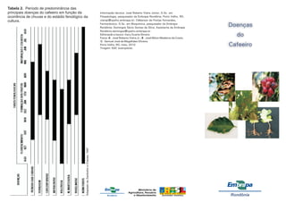 Doenças
do
Cafeeiro
Rondônia
Informação técnica: J
Editoração e layout: Itacy Duarte Silveira
Fotos:
Porto Velho, RO, maio, 2010
Tiragem: 500 exemplares.
osé Roberto Vieira Júnior, D.Sc. em
Fitopatologia, pesquisador da Embrapa Rondônia, Porto Velho, RO,
vieirajr@cpafro.embrapa.br; Cléberson de Freitas Fernandes,
Farmacêutico, D.Sc. em Bioquímica, pesquisador da Embrapa
Rondônia; Domingos Sávio Gomes da Silva, Assistente da Embrapa
Rondônia.domingos@cpafro.embrapa.br
A B
C
- José Roberto Vieira Jr.; - José Nilton Medeiros da Costa;
- Samuel José de Magalhães Oliveira.
Tabela 2. Período de predominância das
principais doenças do cafeeiro em função da
ocorrência de chuvas e do estádio fenológico da
cultura.
1
AdaptadodeZambolimeChaves,1997
Rondônia
 