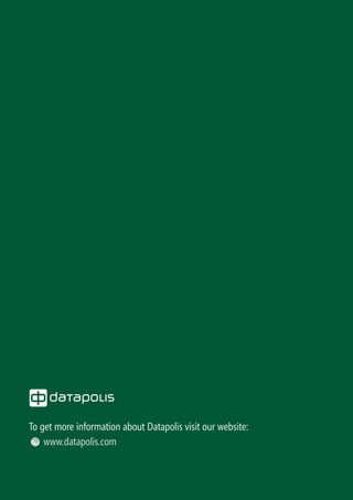 Datapolis Process System | PDF