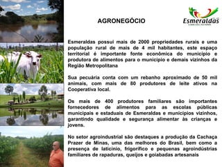 Esmeraldas possui mais de 2000 propriedades rurais e uma
população rural de mais de 4 mil habitantes, este espaço
territorial é importante fonte econômica do município e
produtora de alimentos para o município e demais vizinhos da
Região Metropolitana
Sua pecuária conta com um rebanho aproximado de 50 mil
animais, com mais de 80 produtores de leite ativos na
Cooperativa local.
Os mais de 400 produtores familiares são importantes
fornecedores de alimentos para as escolas públicas
municipais e estaduais de Esmeraldas e municípios vizinhos,
garantindo qualidade e segurança alimentar às crianças e
jovens.
No setor agroindustrial são destaques a produção da Cachaça
Prazer de Minas, uma das melhores do Brasil, bem como a
presença de laticínio, frigorífico e pequenas agroindústrias
familiares de rapaduras, queijos e goiabadas artesanais
AGRONEGÓCIO
 