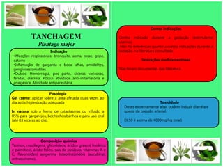 Contra indicações

            TANCHAGEM                                         Contra indicado durante a gestação (estimulante
                                                              uterino).
                Plantago major                                 Não há referências quanto a contra indicações durante a
                        Indicação                             lactação, na literatura consultada.
 •Afecções respiratórias: bronquite, asma, tosse, gripe,
 catarro                                                                   Interações medicamentosas
 •Inflamação de garganta e boca: aftas, amidalites,
 gengivoestomatites                                           Não foram documentas não literatura.
 •Outros: Hemorragia, pós parto, úlceras varicosas,
 feridas, diarréia. Possui atividade anti-inflamatória e
 analgésica. Atividade antiparasitária.

                       Posologia
Gel creme: aplicar sobre a área afetada duas vezes ao
dia após higienização adequada                                                        Toxicidade
                                                                 Doses extremamente altas podem induzir diarréia e
In natura: sob a forma de cataplasmas ou infusão a               queda da pressão arterial.
05% para gargarejos, bochechos,banhos e para uso oral
(até 03 xícaras ao dia).                                         DL50 é a cima de 4000mg/kg (oral)




                  Composição química
Taninos, mucilagens, glicosídeos, ácidos graxos( linoléico
e palmítico), ácido fólico, sais de potássio, vitaminas A e
C, flavonóides( apigenina luteolina),iridóis (aucubina),
antraquinonas.
 