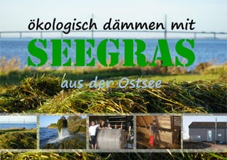 ökologisch dämmen mit
SEEGRAS
aus der Ostsee
 
