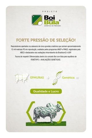 FORTE PRESSÃO DE SELEÇÃO!
Reprodutores apartados na cabeceira de cinco grandes criatórios que somam aproximadamente
12 mil matrizes PO em reprodução, avaliados pelos programas ANCP e PMGZ, registrados pela
ABCZ e destacados nas avaliações intrarrebanho da BrasilcomZ e USP.
Touros de respeito! Diferenciados dentro do conceito Boi com Bula pelo equilíbrio de
FENÓTIPO + AVALIAÇÕES GENÉTICAS.
Qualidade e Lucro
EPMURAS Genética
P R O J E T O
GENÉTICA DE PRECISÃO
 