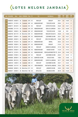 57 AIAB3618 24/09/14 35 Excelente 973 42 REM USP BACKUP 29,51 0,5 14,80 3
58 AIAB3741 21/10/14 35 Excelente 961 44 MANDARIN MAT. TECELÃO DA SM 20,65 2 15,13 2
59 AIAB3771 29/10/14 34 Excelente 931 40 REM USP ESTATUTO DE NAV. 25,26 0,5 15,97 2
60 AIAB3866 21/11/14 33 Excelente 919 39 MANDARIN MAT. BARU DA JANDAIA 29,51 0,1 16,08 2
61 AIAB3541 16/09/14 36 Excelente 907 42 MANDARIN MAT. TECELÃO DA SM 13,68 8 9,91 12
62 AIAB3794 05/11/14 34 Muito Bom 901 41 MANDARIN MAT. MACUNI DO SALTO 20,38 2 13,68 4
63 AIAB3611 23/09/14 35 Excelente 897 43 MANDARIN MAT. CACHIMBO DA MN 25,31 0,5 15,37 2
64 AIAB3622 25/09/14 35 Excelente 881 42 REM USP CEN 3120 INSOLUTO 23,90 0,5 13,47 4
65 AIAB3734 19/10/14 35 Excelente 879 41 MANDARIN MAT. MAREL 28,55 0,1 12,72 5
66 AIAB3534 16/09/14 36 Excelente 871 40 MANDARIN MAT. BACKUP 21,03 2 13,54 4
67 AIAB3748 23/10/14 34 Excelente 869 43 REM USP A5968 DA JANDAIA 27,16 0,5 14,43 3
68 AIAB3619 24/09/14 35 Excelente 865 40 MANDARIN MAT. KOKAR DA MAT. 21,29 2 14,75 3
69 AIAB3710 12/10/14 35 Excelente 851 45 MANDARIN MAT. REM QUADRIMESTRE TE 25,45 0,5 12,99 5
70 AIAB3635 27/09/14 35 Excelente 847 42 REM USP CACHIMBO DA MN 22,52 1 10,79 9
71 AIAB3626 26/09/14 35 Excelente 837 42 CAMPEÃO DA MN ERUG DE NAV. 18,80 3 12,90 5
72 AIAB3934 09/12/14 33 Excelente 833 37 MANDARIN MAT. CURIO DA JANDAIA 32,77 0,1 18,88 0,5
73 AIAB3516 13/09/14 36 Excelente 829 41 REM USP CACHIMBO DA MN 22,57 1 12,32 6
74 AIAB3840 15/11/14 34 Excelente 829 41 REM ARMADOR MUTUM DA JANDAIA 24,55 0,5 15,80 2
75 AIAB3649 30/09/14 35 Muito Bom 811 43 REM USP JAMANTA DA MN 24,92 0,5 14,68 3
76 AIAB3617 23/09/14 35 Muito Bom 793 38 BITELO DS BACANA DA MN 26,78 0,5 15,30 2
L O T E S N E L O R E J A N D A I A
Lote Série/RGN Nasc. Idade EPMURAS Peso PE Pai Avô Materno
PMGZ
iABCZ
TOP
(%)
ANCP
MGTe
TOP
(%)
 