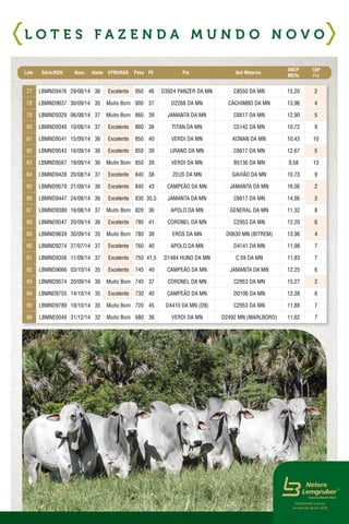 77 LBMND9476 29/08/14 36 Excelente 950 46 D3924 PANZER DA MN C8550 DA MN 15,20 2
78 LBMND9637 30/09/14 35 Muito Bom 900 37 D2268 DA MN CACHIMBO DA MN 13,96 4
79 LBMND9329 06/08/14 37 Muito Bom 860 39 JAMANTA DA MN C6617 DA MN 12,90 5
80 LBMND9349 10/08/14 37 Excelente 860 38 TITAN DA MN C5142 DA MN 10,72 9
81 LBMND9541 15/09/14 36 Excelente 850 40 VERDI DA MN KONAN DA MN 10,43 10
82 LBMND9543 16/09/14 36 Excelente 850 39 URANO DA MN C6617 DA MN 12,67 5
83 LBMND9567 19/09/14 36 Muito Bom 850 39 VERDI DA MN B5136 DA MN 9,58 13
84 LBMND9428 20/08/14 37 Excelente 840 38 ZEUS DA MN GAVIÃO DA MN 10,73 9
85 LBMND9579 21/09/14 36 Excelente 840 43 CAMPEÃO DA MN JAMANTA DA MN 16,06 2
86 LBMND9447 24/08/14 36 Excelente 830 35,5 JAMANTA DA MN C6617 DA MN 14,06 3
87 LBMND9389 16/08/14 37 Muito Bom 820 36 APOLO DA MN GENERAL DA MN 11,32 8
88 LBMND9547 20/09/14 36 Excelente 780 41 CORONEL DA MN C2953 DA MN 12,20 6
89 LBMND9639 30/09/14 35 Muito Bom 780 38 EROS DA MN D0630 MN (BITREM) 13,96 4
90 LBMND9274 27/07/14 37 Excelente 760 40 APOLO DA MN D4141 DA MN 11,98 7
91 LBMND9356 11/08/14 37 Excelente 750 41,5 D1484 HUNO DA MN C 59 DA MN 11,83 7
92 LBMND9666 03/10/14 35 Excelente 745 40 CAMPEÃO DA MN JAMANTA DA MN 12,25 6
93 LBMND9574 20/09/14 36 Muito Bom 740 37 CORONEL DA MN C2953 DA MN 15,27 2
94 LBMND9755 14/10/14 35 Excelente 730 40 CAMPEÃO DA MN D0106 DA MN 12,38 6
95 LBMND9789 19/10/14 35 Muito Bom 720 45 D4410 DA MN (D8) C2953 DA MN 11,88 7
96 LBMNE0049 31/12/14 32 Muito Bom 680 36 VERDI DA MN D2492 MN (MARLBORO) 11,62 7
L O T E S F A Z E N D A M U N D O N O V O
Lote Série/RGN Nasc. Idade EPMURAS Peso PE Pai Avô Materno
ANCP
MGTe
TOP
(%)
Selecionado a pasto,
ao natural, desde 1878.
 