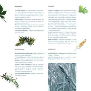 Folder thermal bassa ok   copy