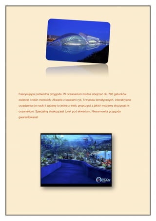 Fascynująca podwodna przygoda. W oceanarium można obejrzeć ok. 700 gatunków

zwierząt i roślin morskich. Akwaria z ławicami ryb, 5 wystaw tematycznych, interaktywne

urządzenia do nauki i zabawy to jedne z wielu propozycji z jakich możemy skożystać w

oceanarium. Specjalną atrakcją jest tunel pod akwarium. Niesamowita przygoda

gwarantowana!
 