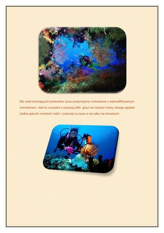 Dla osób kochających podwodne życie proponujemy nurkowanie z wykwalifikowanym

instruktorem. Jest to rozrywka z wyższej półki, gdyż nie zawsze mamy okazję oglądać

żadkie gatunki morskich roślin i zwierząt na żywo a nie tylko na obrazkach.
 