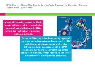 DNA Discovery Opens New Door to Develop Tools, Therapies for Hereditary Cancers Science daily - July 8,2010 A specific protein, known as MutL, works within a cell to unleash the series of events that repair DNA when the replication machinery makes a mistake. Errors in DNA can arise from many types of damage including external harm, such as UV radiation or carcinogens, as well as by intrinsic cellular processes such as DNA replication. Failure to correct these errors leads to mutations, which results in cancer or a number of severe genetic disorders. 