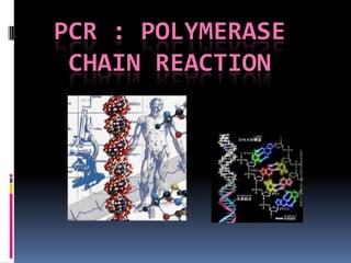 PCR : POLYMERASE CHAIN REACTION 