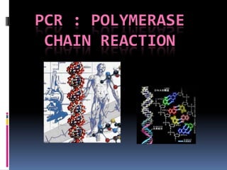 PCR : POLYMERASE CHAIN REACTION 