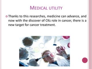 MedicalutilityWithallthisresearch, medicine isgettingclosetoguaranteemore efficientmethodsforcuringcancer and preserve lifewiththeage.