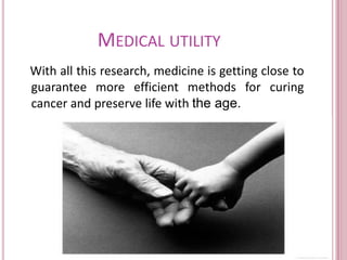 Folding: chromosomes, chromatine and cell cycle