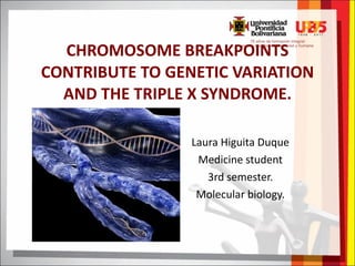 CHROMOSOME BREAKPOINTS CONTRIBUTE TO GENETIC VARIATION AND THE TRIPLE X SYNDROME. Laura Higuita Duque Medicine student 3rd semester. Molecular biology. 