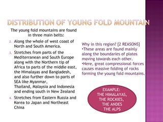 The young fold mountains are found in three main belts: Along the whole of west coast of North and South America. Stretches from parts of the Mediterranean and South Europe along with the Northern tip of Africa to parts of the middle east, the Himalayas and Bangladesh, and also further down to parts of SEA like Myanmar,  Thailand, Malaysia and Indonesia and ending south in New Zealand Stretches from Eastern Russia and Korea to Japan and Northeast China Why in this region? [2 REASONS] These areas are found mainly along the boundaries of plates moving towards each other. Here, great compressional forces causes massive folding of rocks forming the young fold mountains. EXAMPLE:  THE HIMALAYAS, THE ROCKIES,  THE ANDES THE ALPS 