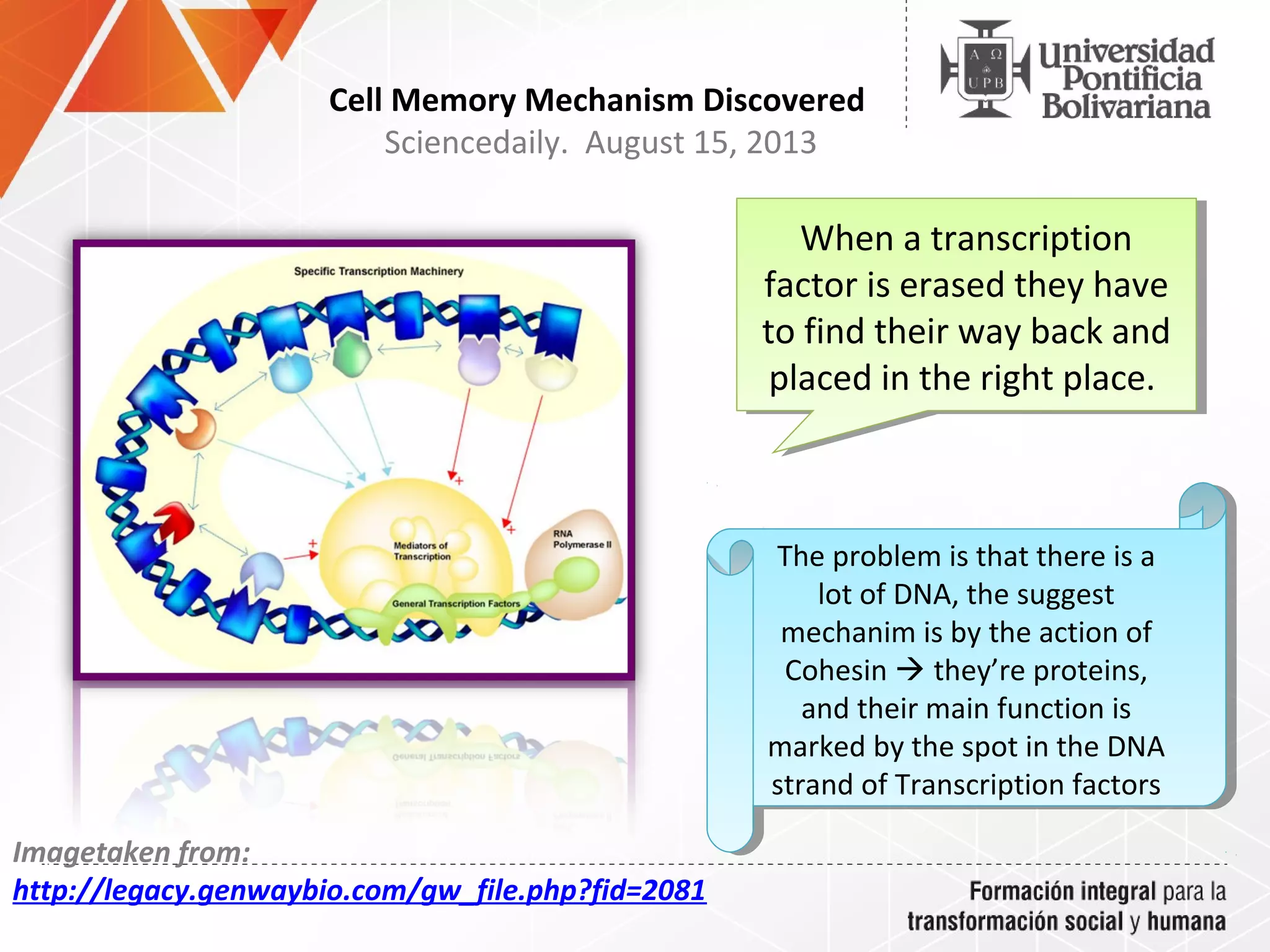 Dna Random Memory “Cell Memory Mechanism Discovered” And “Scientists Visualize How Cancer ...