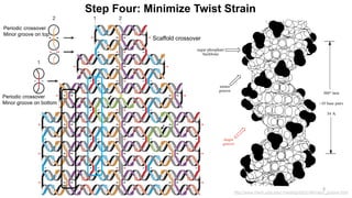 Folding DNA to create nanoscale shapes and patterns | PPTX