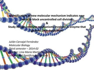 Identification of new molecular mechanism indicates new
ways to block uncontrolled cell division
&
Study reveals intricate mechanisms involved in enzyme that
governs DNA duplication
Julián Carvajal Fernández
Molecular Biology
Third semester – 2014-02
Teacher: Lina Maria Martinez Sanchez
Universidad Pontificia Bolivariana
 