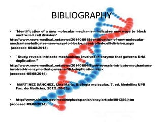 • ¨Identification of a new molecular mechanism indicates new ways to block
unctrolled cell division”
http://www.news-medical.net/news/20140801/Identification-of-new-molecular-
mechanism-indicates-new-ways-to-block-uncontrolled-cell-division.aspx
(accesed 05/08/2014)
• ¨ Study reveals intricate mechanisms involved in enzyme that governs DNA
duplication.”
http://www.news-medical.net/news/20140804/Study-reveals-intricate-mechanisms-
involved-in-enzyme-that-governs-DNA-duplication.aspx
(accesed 05/08/2014)
• MARTINEZ SÁNCHEZ, Lina María. Biología molecular. 7. ed. Medellin: UPB
Fac. de Medicina, 2012. 78-83p.
• http://www.nlm.nih.gov/medlineplus/spanish/ency/article/001289.htm
(accesed 09/08/2014)
BIBLIOGRAPHY
 