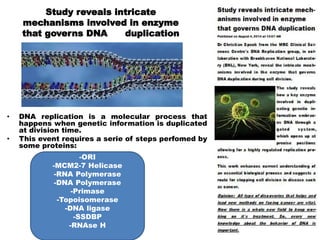 -ORI
-MCM2-7 Helicase
-RNA Polymerase
-DNA Polymerase
-Primase
-Topoisomerase
-DNA ligase
-SSDBP
-RNAse H
• DNA replication is a molecular process that
happens when genetic information is duplicated
at division time.
• This event requires a serie of steps perfomed by
some proteins:
Study reveals intricate
mechanisms involved in enzyme
that governs DNA duplication
 