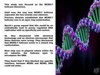 This study was focused on the MCM2-7
helicase (hexamer).
Until now, the way how MCM2-7 helicase
separates the two strands was unknown.
Previous theories established that MCM2-7
helicase was in an open ring conformation.
Speck`s group argued that this would be an
undoubtedly lead to poorly regulated DNA
replication with no specificity and control.
So they discovered with advanced
technology and an electron microscope that
these theories were wrong. They discovered
that MCM2-7 helicase exists in a closed ring
conformation.
Next step was to pinpoint where within the
six subunits, the helicase open to
encompass the DNA.
They found that if they blocked one specific
interface, between MCM2 and MCM5, DNA
could not enter.
 