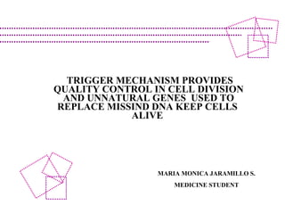 TRIGGER MECHANISM PROVIDES QUALITY CONTROL IN CELL DIVISION AND  UNNATURAL GENES  USED TO REPLACE MISSIND DNA KEEP CELLS  ALIVE  MARIA MONICA JARAMILLO S. MEDICINE STUDENT 