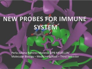 NEW PROBES FOR IMMUNE  SYSTEM Perla Juliana Ramírez Moreno- UPB MEDELLIN Molecular Biology – Medicine School – Third Semester 