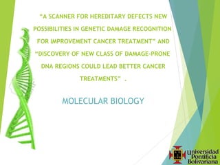 “A SCANNER FOR HEREDITARY DEFECTS NEW

POSSIBILITIES IN GENETIC DAMAGE RECOGNITION

 FOR IMPROVEMENT CANCER TREATMENT” AND

“DISCOVERY OF NEW CLASS OF DAMAGE-PRONE

  DNA REGIONS COULD LEAD BETTER CANCER

              TREATMENTS” .
                      


         MOLECULAR BIOLOGY

        EMMANUEL SÁNCHEZ DÍAZ
     SECOND YEAR MEDICAL STUDENT
              MEDELLÍN
                2013
 