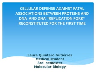 CELLULAR DEFENSE AGAINST FATAL
ASSOCIATIONS BETWEEN PROTEINS AND
DNA AND DNA “REPLICATION FORK”
RECONSTITUTED FOR THE FIRST TIME
Laura Quintero Gutiérrez
Medical student
3rd semester
Molecular Biology
 